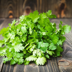 Cilantro Bunch